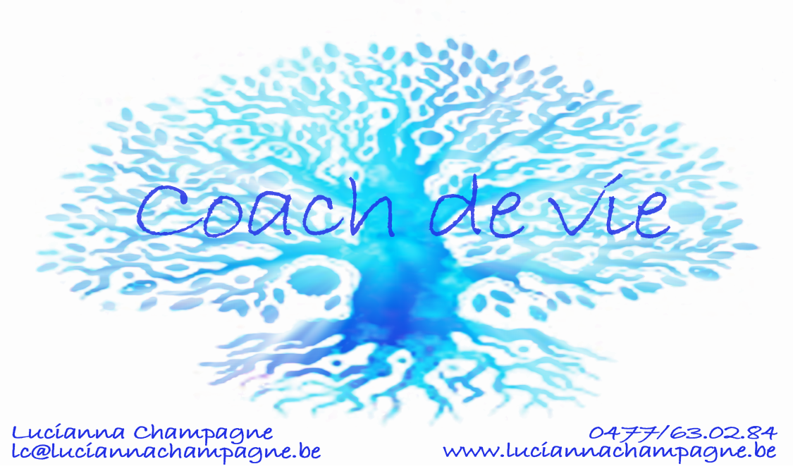 Photo de Champagne Lucianna
